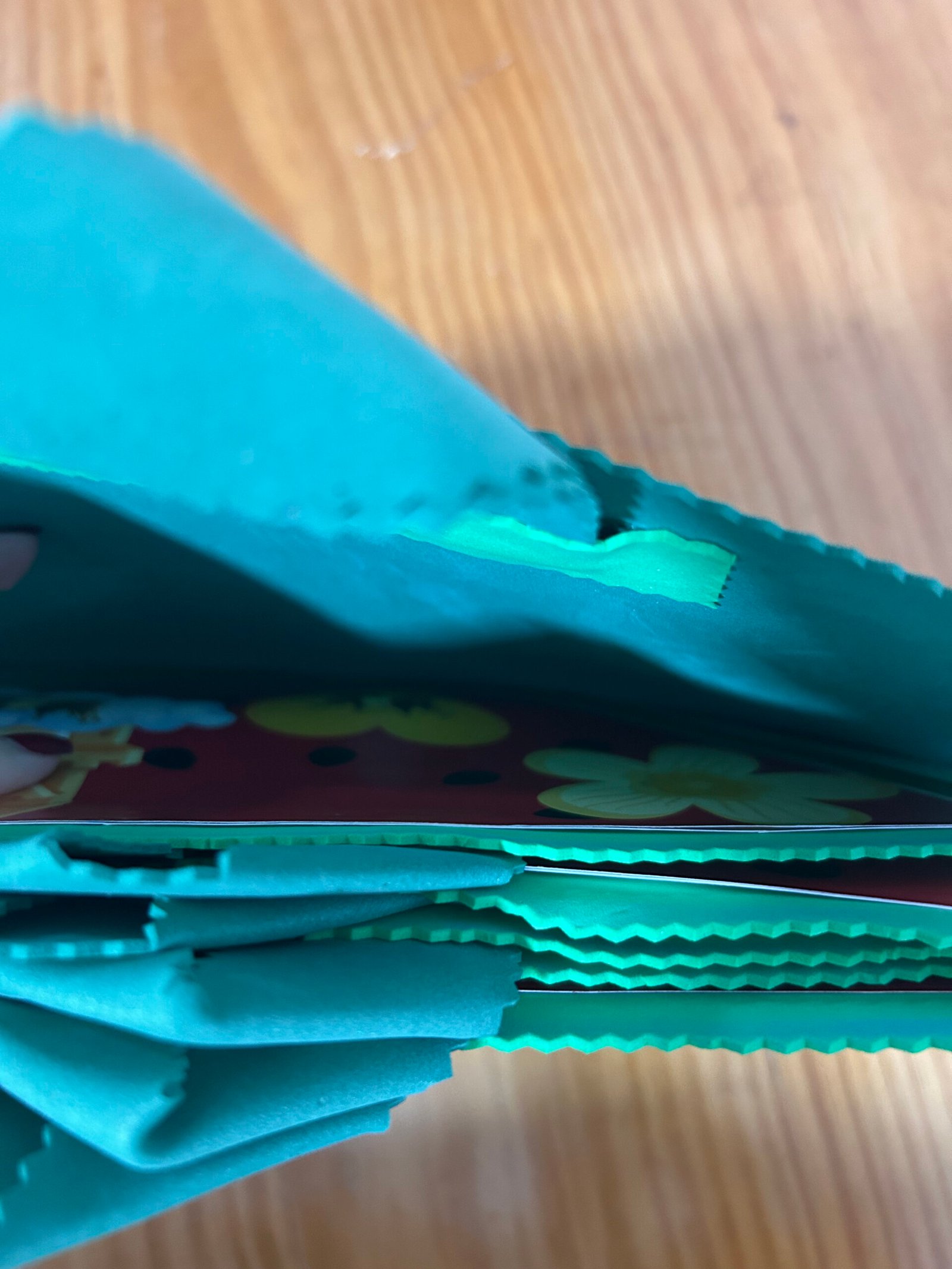 O Segredo da Melancia - Imagem 11