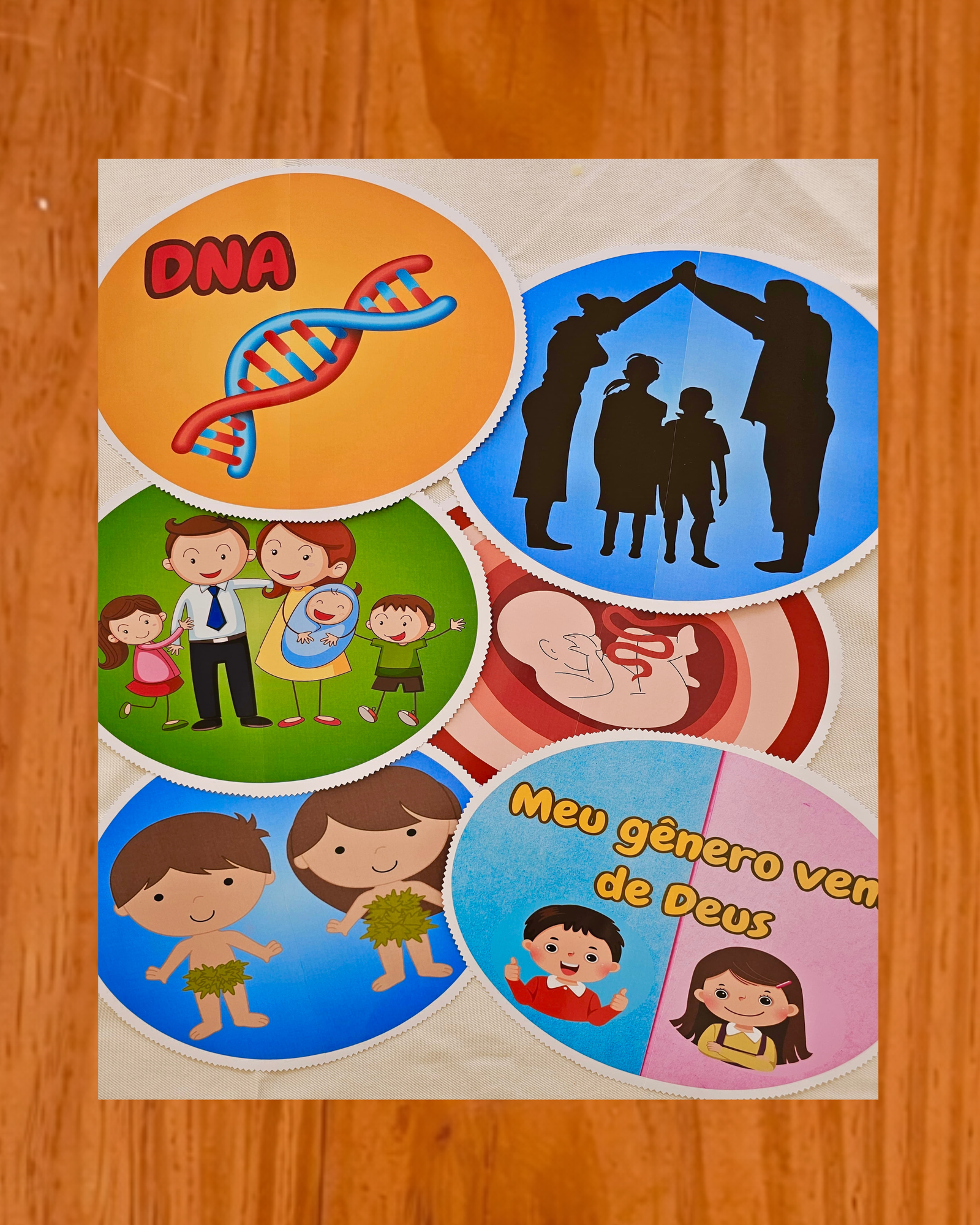 Meu Gênero vem de Deus