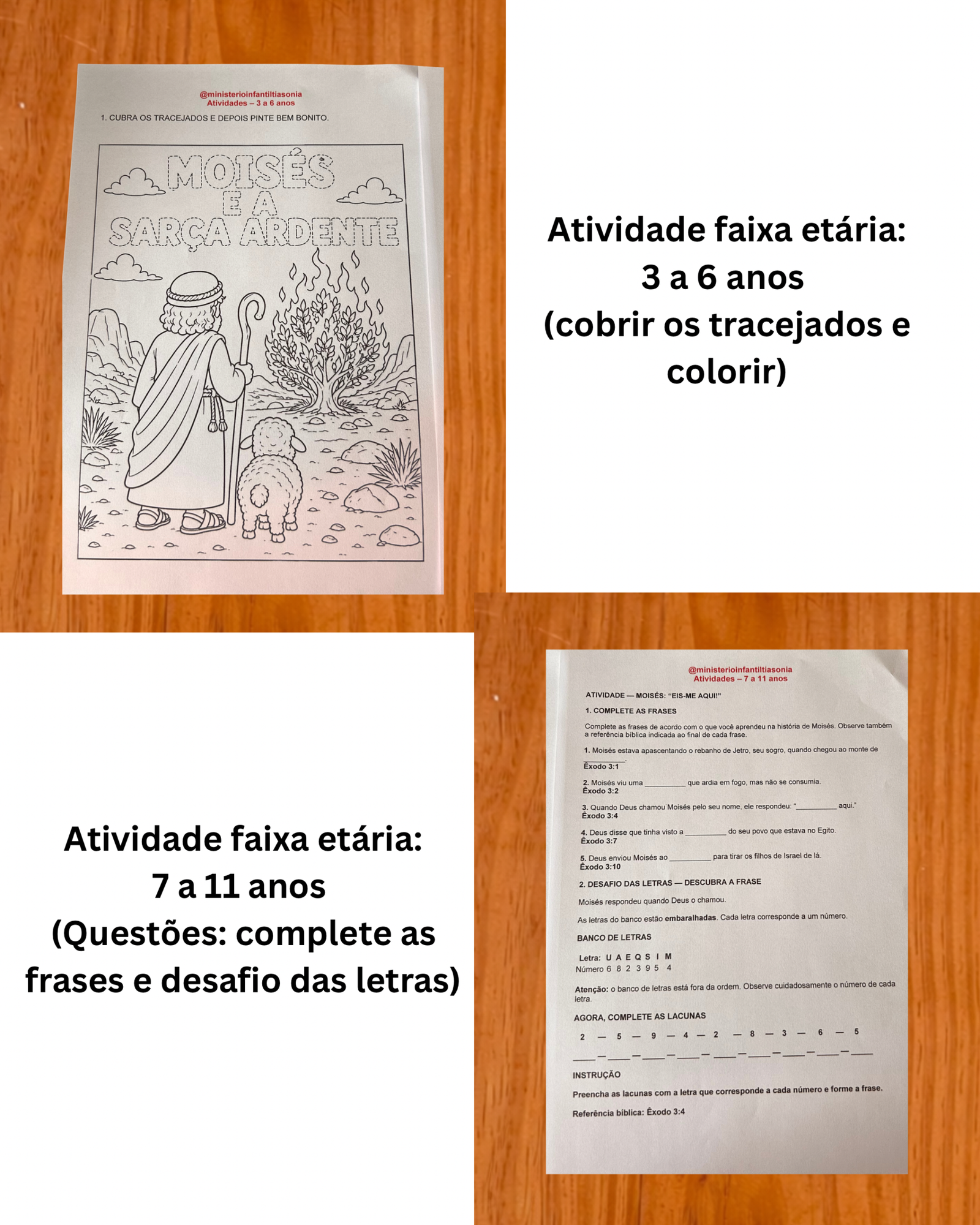 Lição: Moisés e a Sarça Ardente - Imagem 13